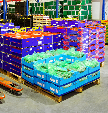 cold-chain-service